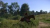 Kingdom Come: Deliverance II