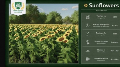 Самые прибыльные культуры для выращивания в Farming Simulator 25