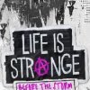 игра Life is Strange: Before the Storm