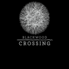 топовая игра Blackwood Crossing