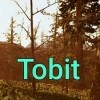 топовая игра Tobit