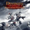 игра Divinity: Original Sin - Enhanced Edition