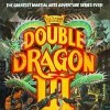 топовая игра Double Dragon III: The Sacred Stones