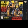 топовая игра Ninja Gaiden Trilogy