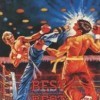 топовая игра Best of the Best: Championship Karate