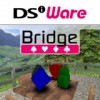 Лучшие игры Карточная игра - Bridge (топ: 1.3k)