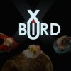 игра Xbird