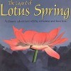 Лучшие игры Пазл (головоломка) - The Legend of Lotus Spring (топ: 1.4k)