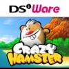 топовая игра Crazy Hamster