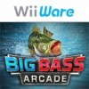 топовая игра Big Bass Arcade