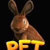 Новые игры Для всей семьи на ПК и консоли - Pet Shop Simulator