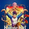 Новые игры Аркада на ПК и консоли - The Karate Kid: Street Rumble