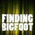 Finding Bigfoot