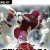 Brian Lara International Cricket