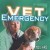 Vet Emergency