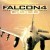 Falcon 4.0 Gold: Operation Infinite Resolve