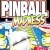 Pinball Madness