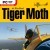 Tiger Moth