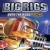 Big Rigs: Over the Road Racing