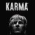 KARMA: The Dark World