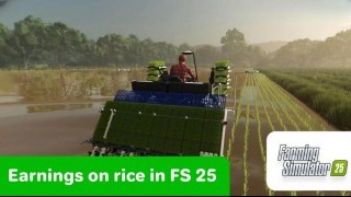 Farming Simulator 25. Деньги