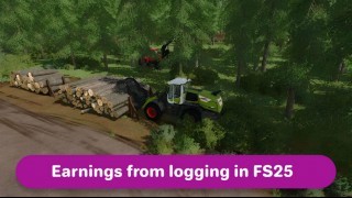 Farming Simulator 25. Деньги