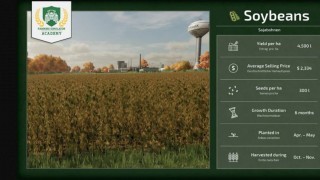 Farming Simulator 25. Прибыльные культуры