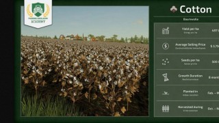 Farming Simulator 25. Прибыльные культуры