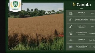 Farming Simulator 25. Прибыльные культуры