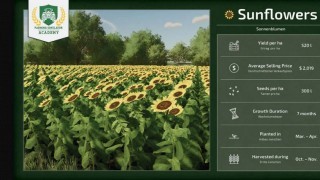 Farming Simulator 25. Прибыльные культуры