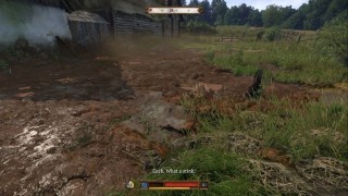 Kingdom Come Deliverance 2. Прохождение