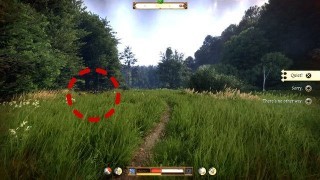 Kingdom Come Deliverance 2. Дополнительные задания