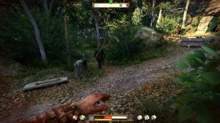 Kingdom Come Deliverance 2. Дополнительные задания