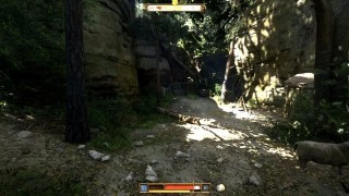 Kingdom Come Deliverance 2. Побочные квесты