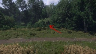 Kingdom Come Deliverance. Сокровища