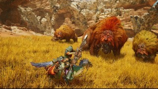 Monster Hunter Wilds. Оседлать монстра