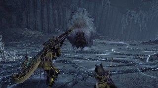 Monster Hunter Wilds. Прохождение