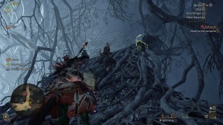 Monster Hunter Wilds. Прохождение