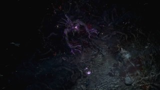 Path of Exile 2. Прохождение