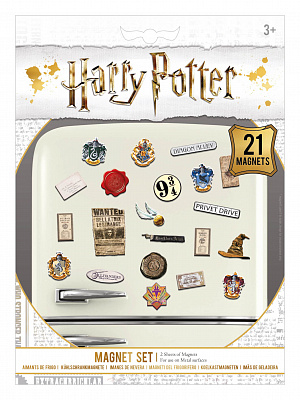 купить Набор магнитов Harry Potter – Wizardry (21 шт.) (MS65083)