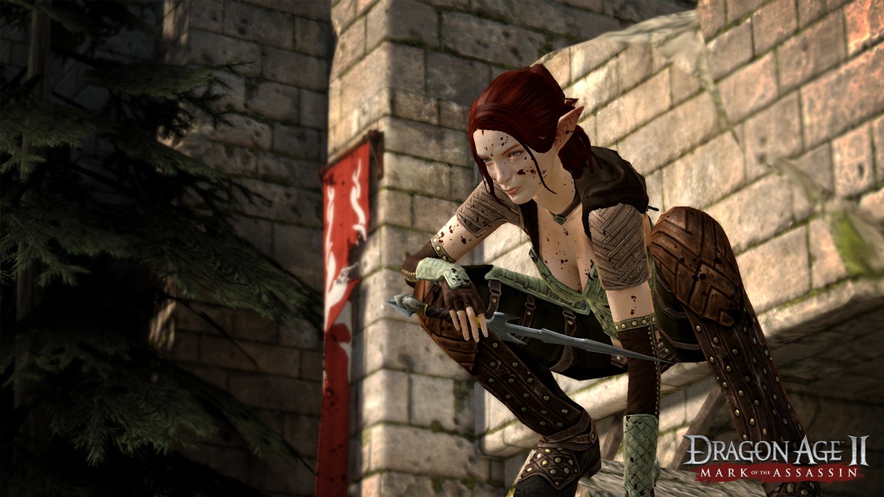 Dragon Age II: Mark of the Assassin