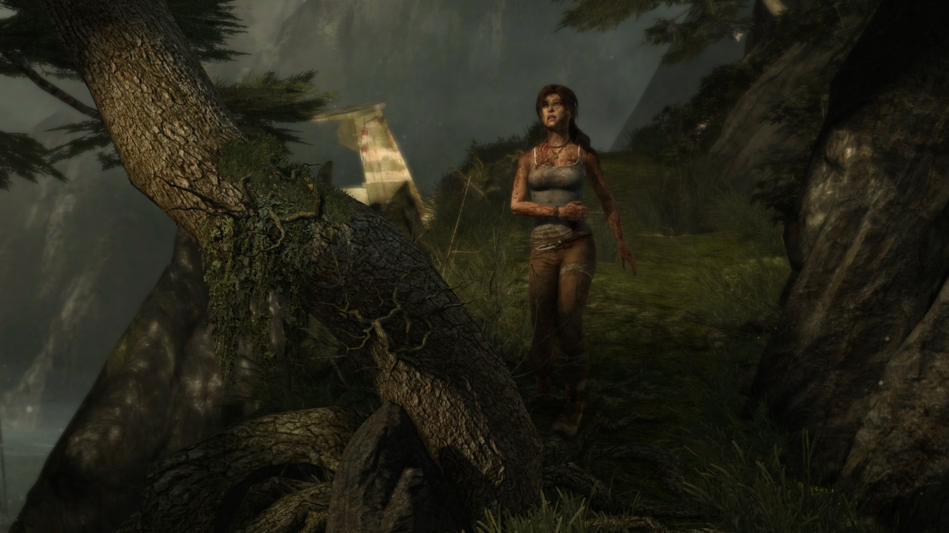 Tomb Raider