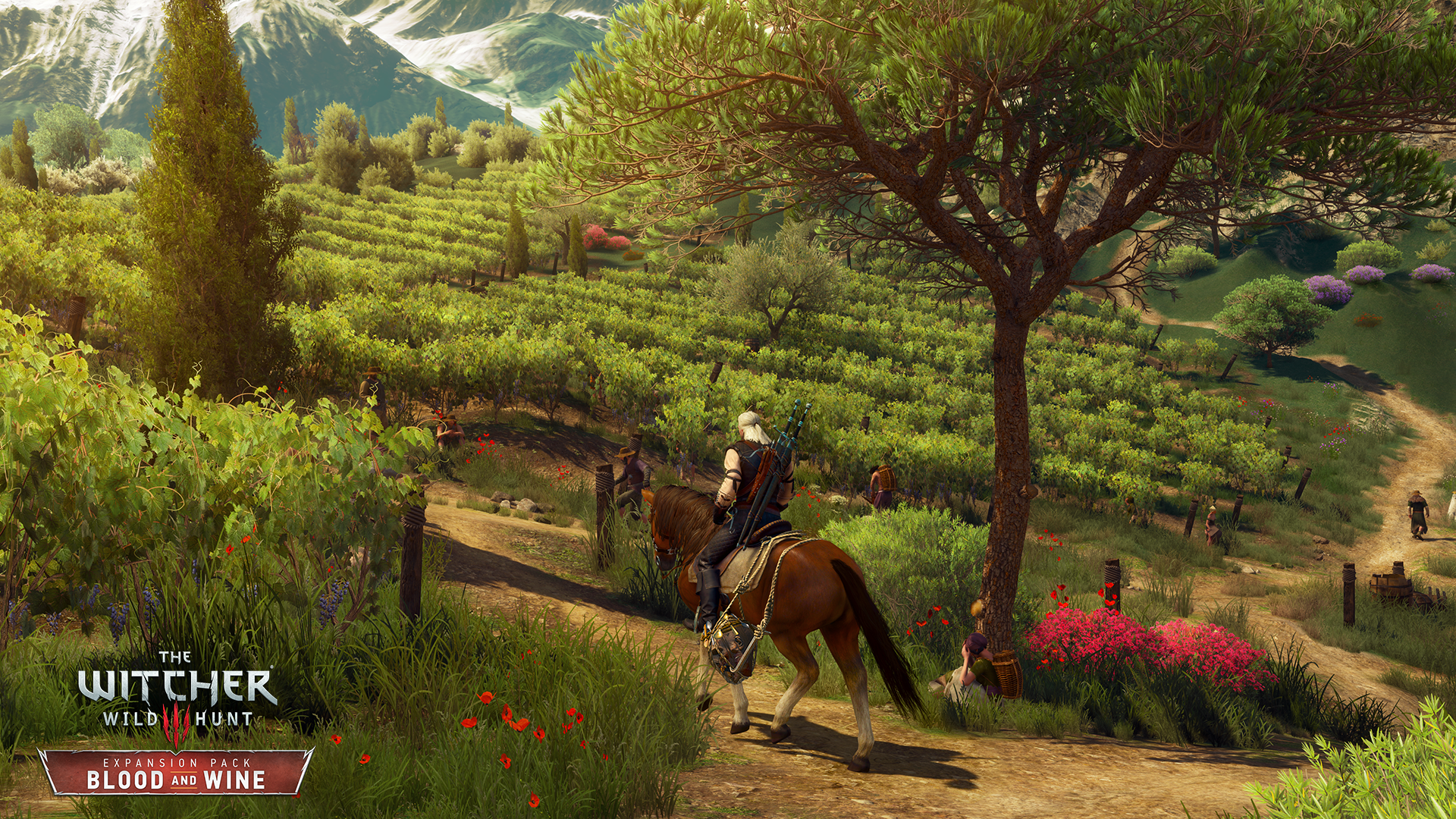 The Witcher 3: Wild Hunt - Blood and Wine