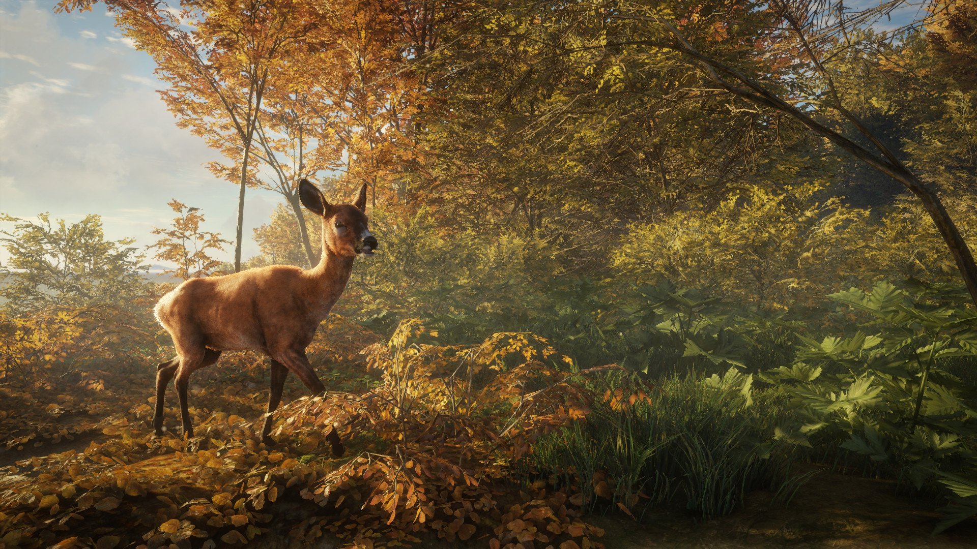 theHunter: Call of the Wild 