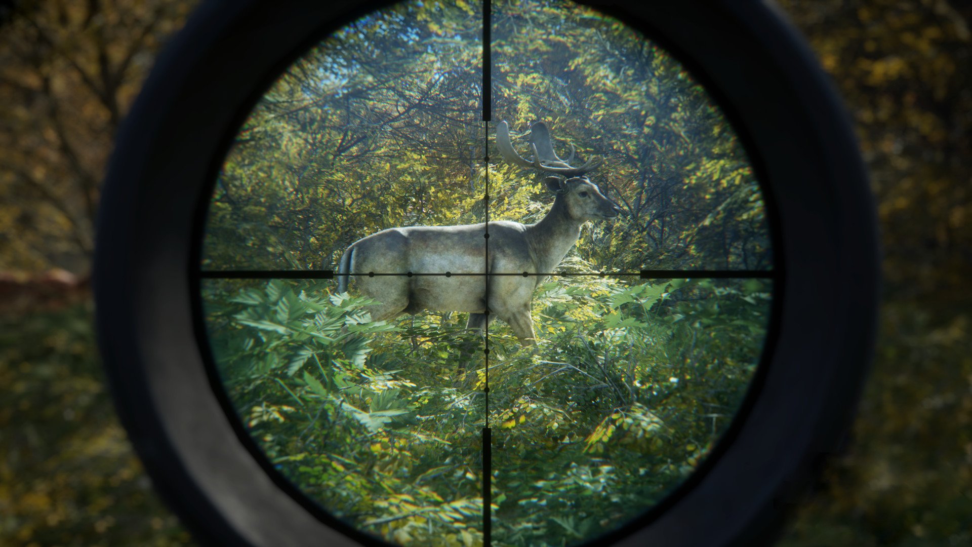 theHunter: Call of the Wild 