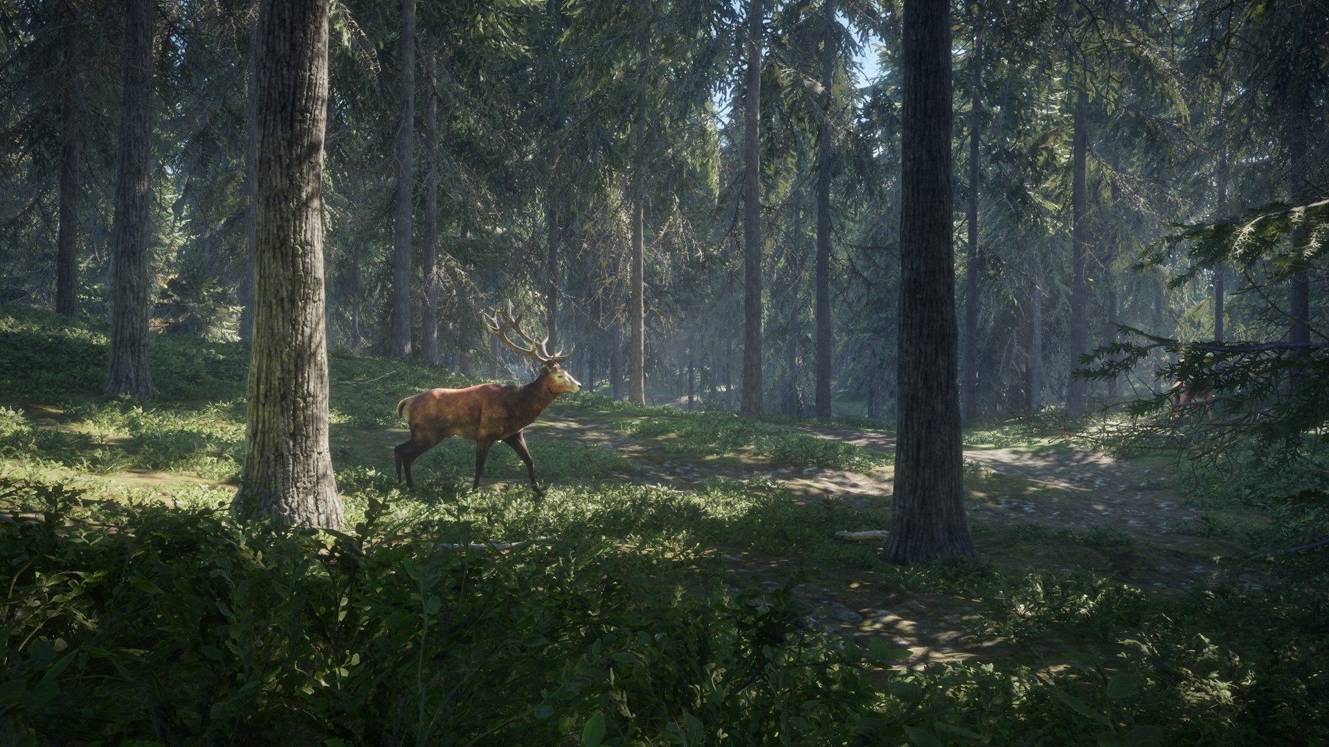 theHunter: Call of the Wild 