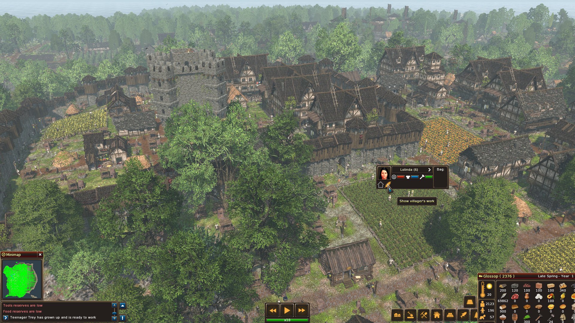 Life is Feudal: Forest Village