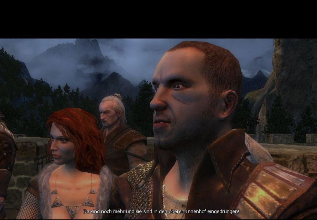 The Witcher