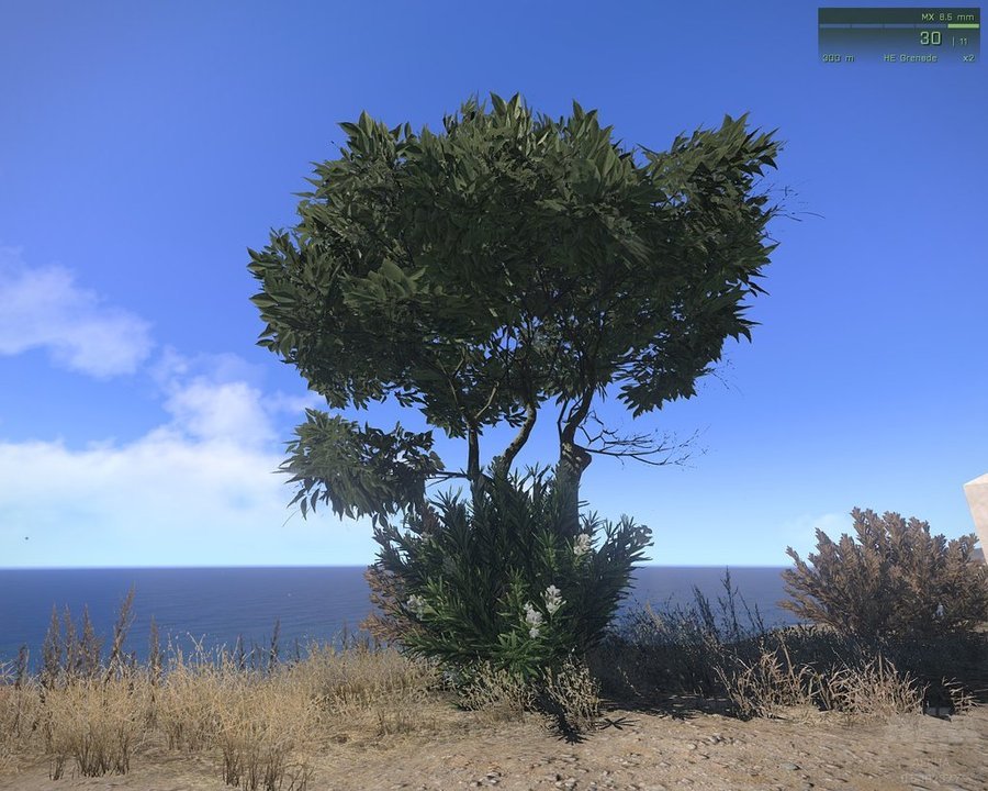 Arma III