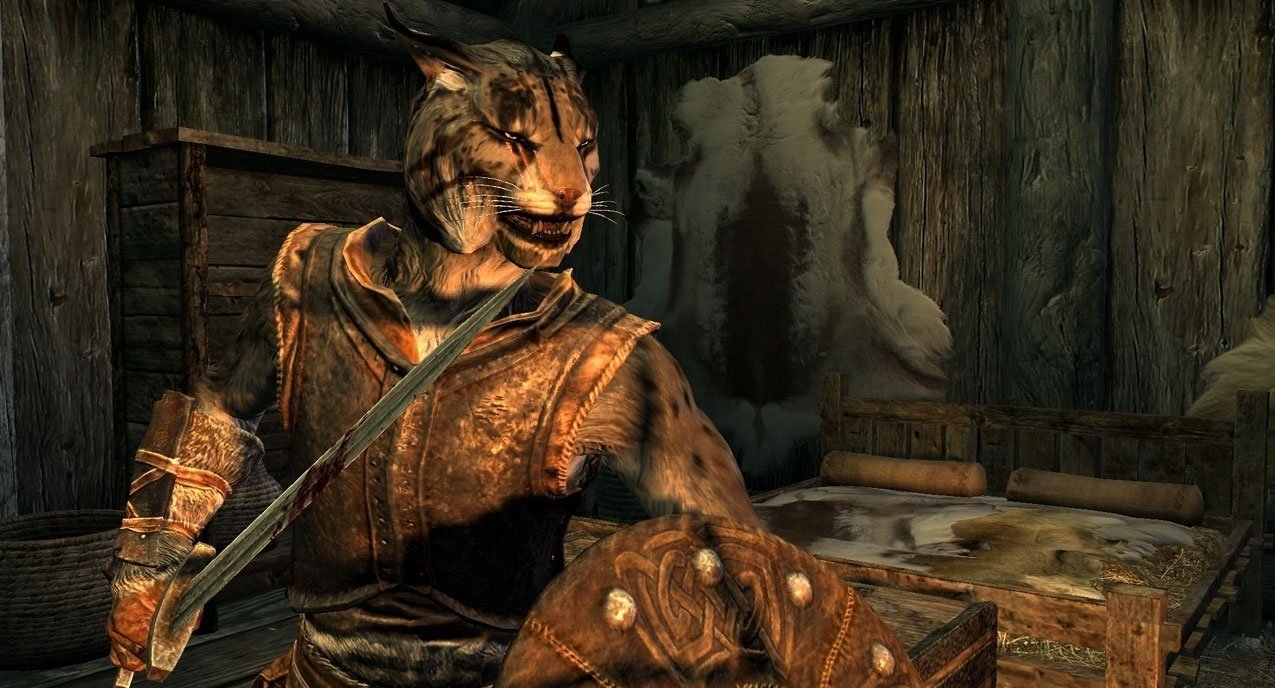 The Elder Scrolls V: Skyrim